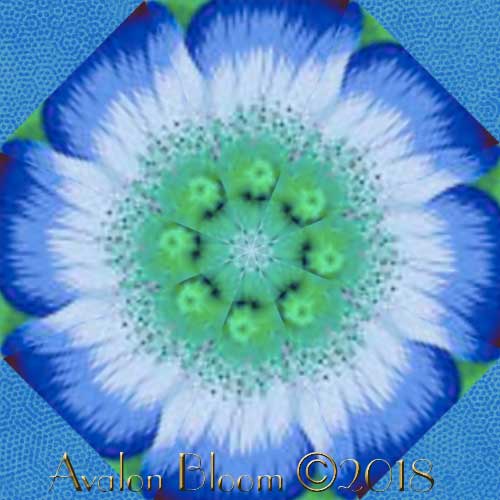 Kaffe Fasset blue Poppy Garden Kaleidoscope Quilt Block Kit