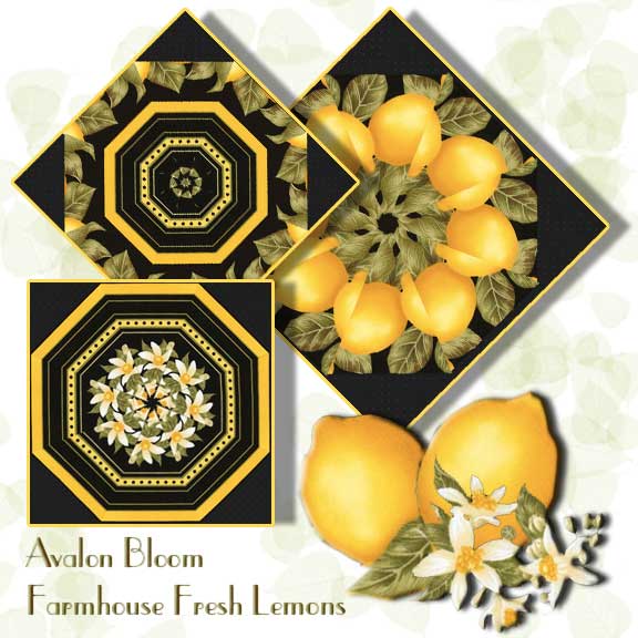 PM220205FarmhouseFreshLemons