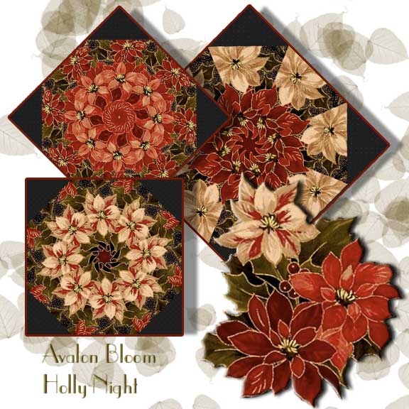 PM220206HollyNight