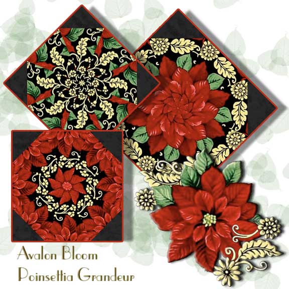PM220206PoinsettiaGrandeur