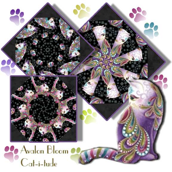 PM220208Cat i tude