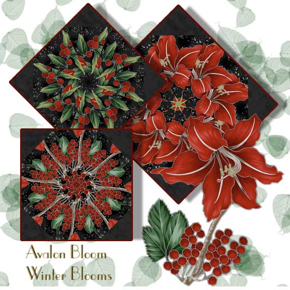 PM220602WinterBlooms