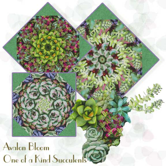 One o a Kind Succulents Pre-cut kaleidoscope quilt block kit