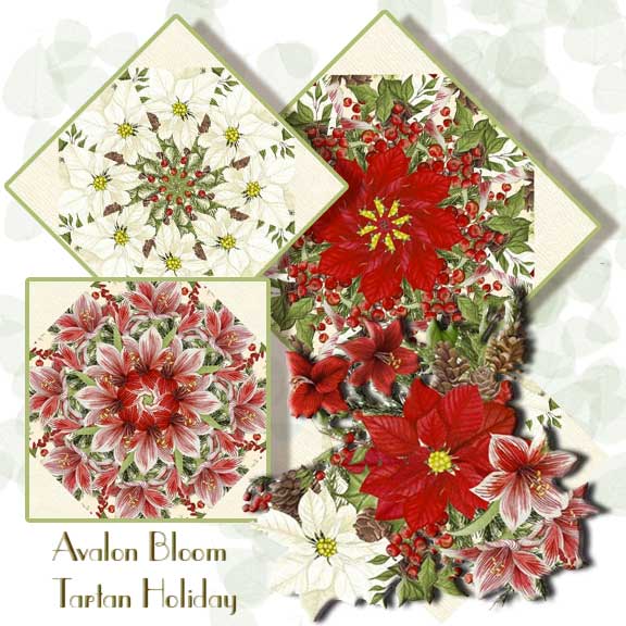 Tina's Garden Kaleidoscope Quilt Block Kit