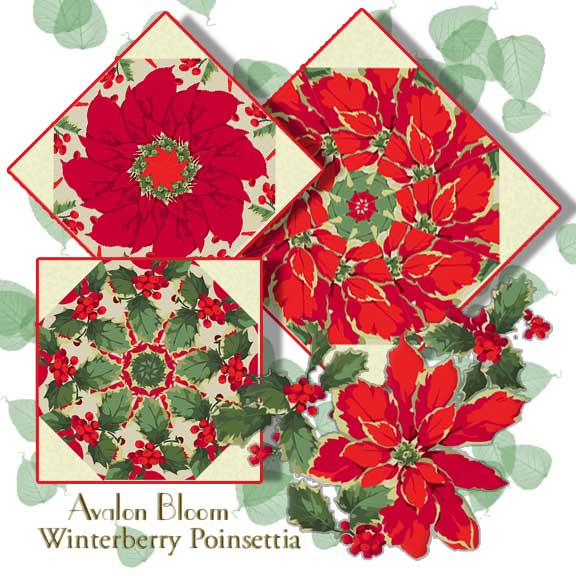 Tula Pink Parisville kaleidoscope quilt block kit