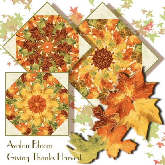 PM221113GivingThanksHarvest