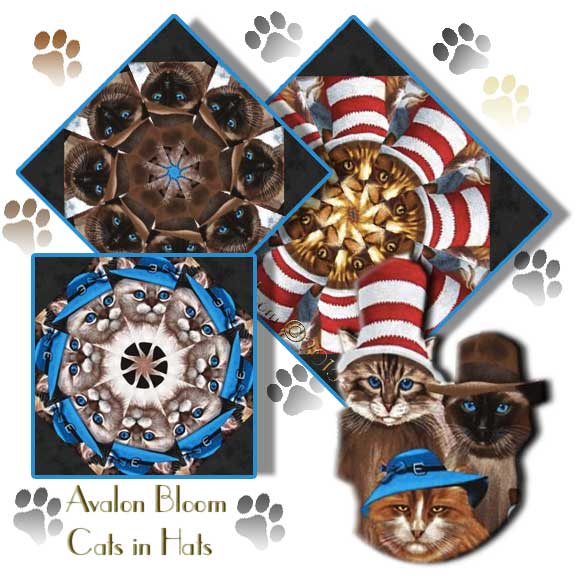 pm220206catsinhats