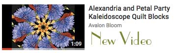 AlexandriaandPetalPartyVide