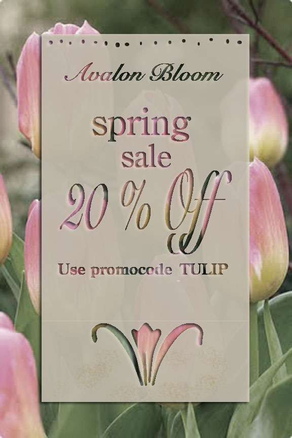 Avalon Bloom Spring sale