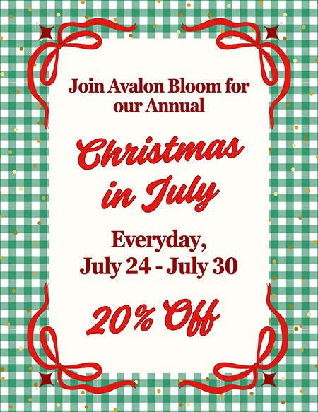 2026 Christmas in July at Avalon Bloom