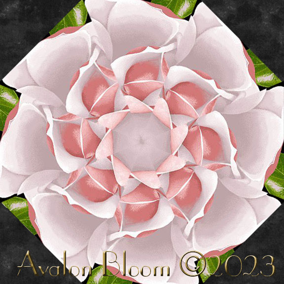 Pink Magnolias Kaleidoscope Quilt Block Kit