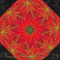 Snow Flower Kaleidoscope Quilt Block Kit