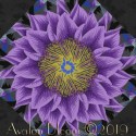 Kaffe Fassett Cactus Flower Kaleidoscope Quilt block Kit