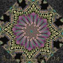 Midnight Garden Kaleidoscope Quilt Block Kit