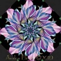 Flora Fantasia Stained Glass Windows Kaleidoscopes Qui