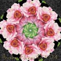 Blush Kaleidoscope Quilt Block Kit