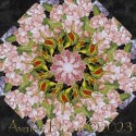 Covent Garden by Deborah Edwards Kaleidoscope Quilt Block Kit