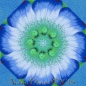 Kaffe Fassett Blue Poppy Garden Kaleidoscope Quilt Block Kit
