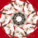 Holiday Cats in Hats  Kaleidoscope Quilt Block Kit