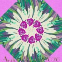 Daisy Crush Unchained Midnight Kaleidoscope Quilt Block Kit