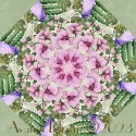 Botanical by Jason Yenter for In the Beginning Fabrics Kaleidoscope Quilt Block Kit