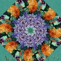 Bird Song Kaleidoscope Quilt Block Kit