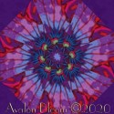 Kaffe Fassett Lotus Leaf Kaleidoscope Quilt Block Kit