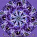 Garden Delight Fleur Kaleidoscope Quilt Block Kit