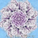 Kaffe Fassett Brassica Sky Kaleidoscope Quilt Block Kit