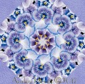 Pretty as a Pansy Kaleidoscope Quilt Block Kit