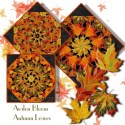 PM220209AutumnLeaves