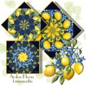 Limoncello Kaleidoscope Quilt Block Kit