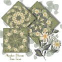 True Love Fern Kaleidoscope Quilt Kit with Precut kaleidoscopes and Appliqués