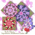 Superbloom Wildflowers Ombre Kaleidoscope Quilt Block Kit