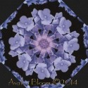 All Over Hydrangeas Kaleidoscope Quilt Block Kit