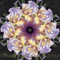 Primavera Iris Kaleidoscope Quilt Block Kit